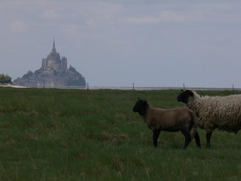 Mont Saint Michel 2010 - 392.jpg